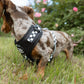 Adjustable Dog Harness - BLACK CHECKERED