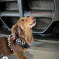 Adjustable Dog Harness - BLACK CHECKERED