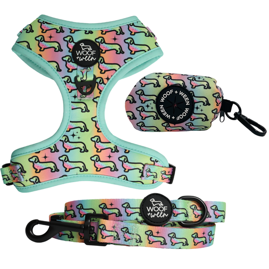 3-piece Walk Bundle - Hot Diggity Dog