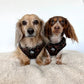 Adjustable Dog Harness - BLACK DUCK CAMO
