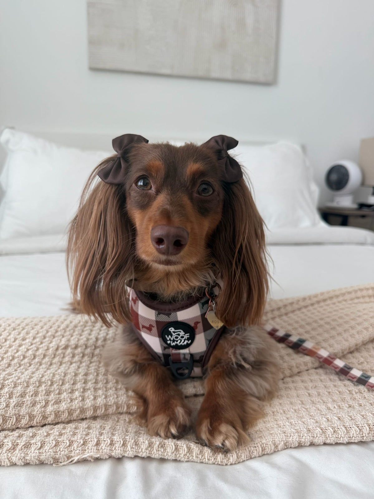 5-piece Bundle - DOXIE PLAID