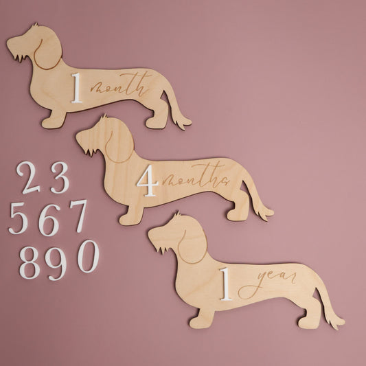Dachshund Baby Wooden Monthly Milestone - Wire Hair Doxie