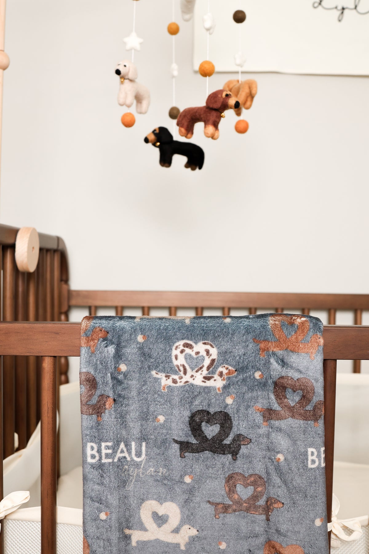 Baby/Dog Blanket - Two-Sided I Heart Dachshunds