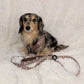 5-piece bundle - CAMEL DOXIES