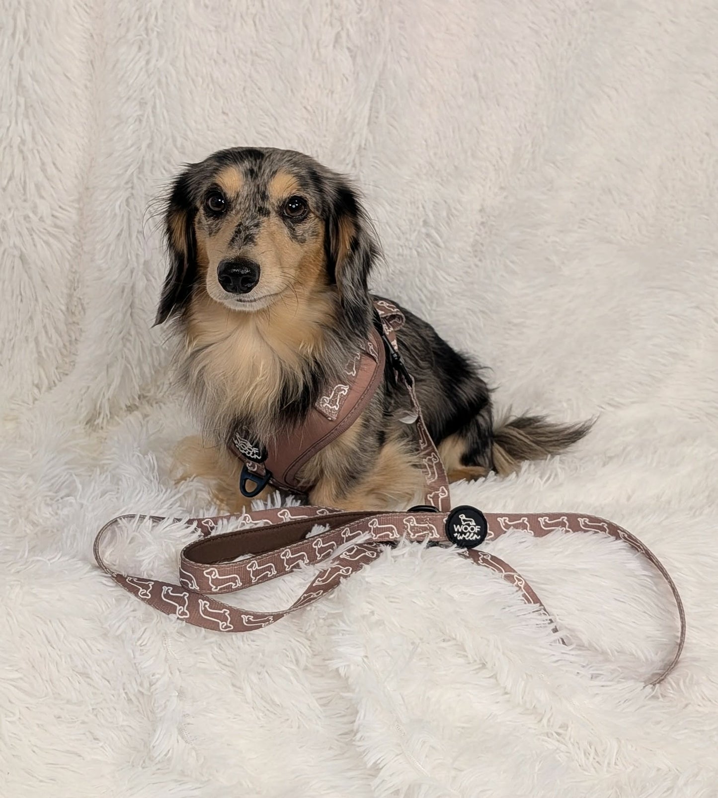 5-piece bundle - CAMEL DOXIES