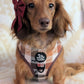 Adjustable Dachshund Harness - DOXIE PLAID