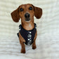 Adjustable Dog Harness - BLACK CHECKERED