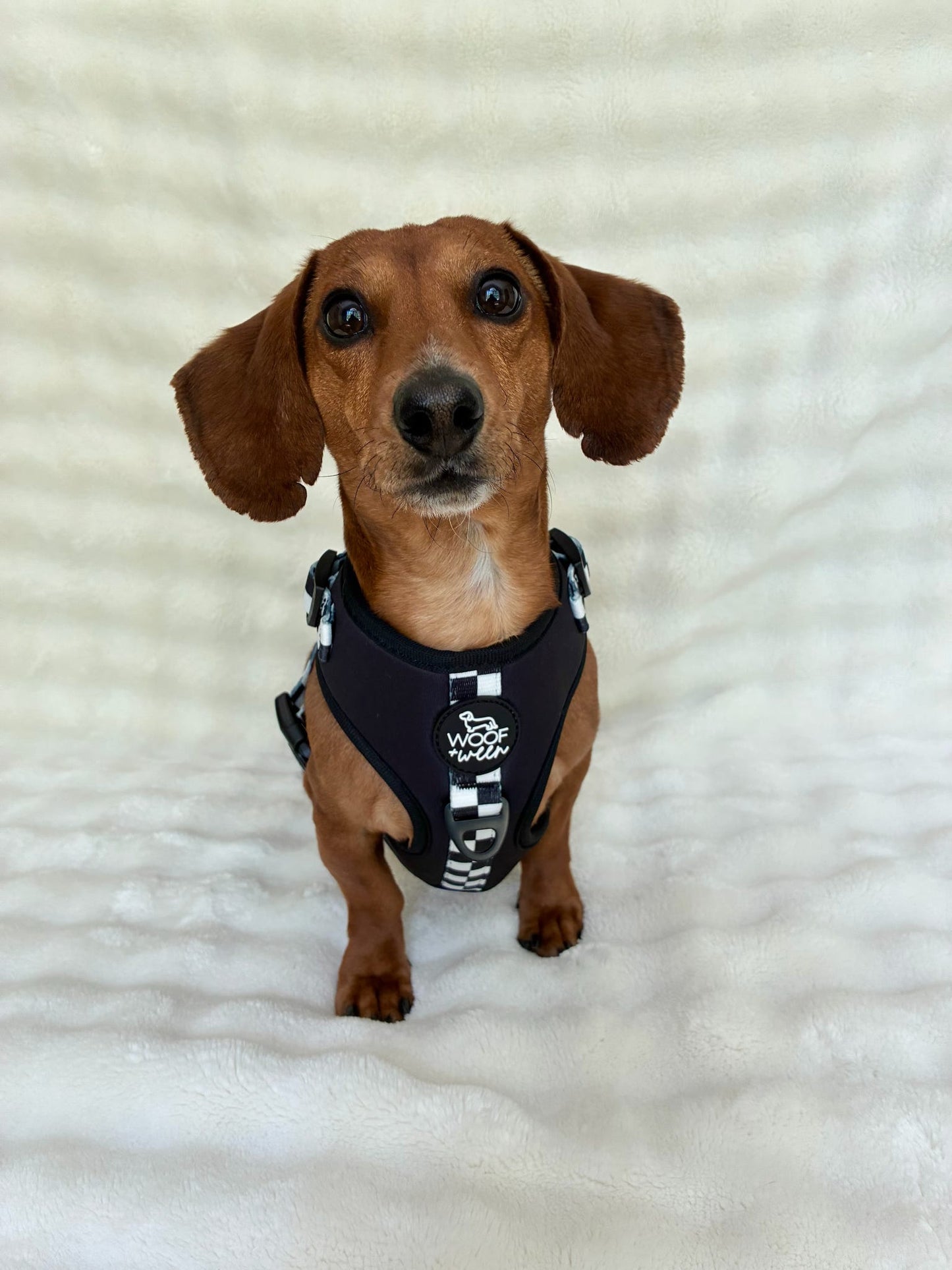 Adjustable Dog Harness - BLACK CHECKERED
