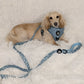 5-piece Bundle - TEAL DOXIES