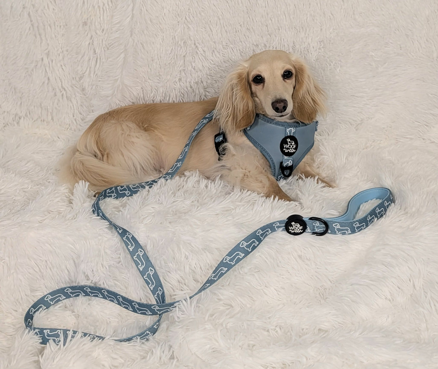 5-piece Bundle - TEAL DOXIES
