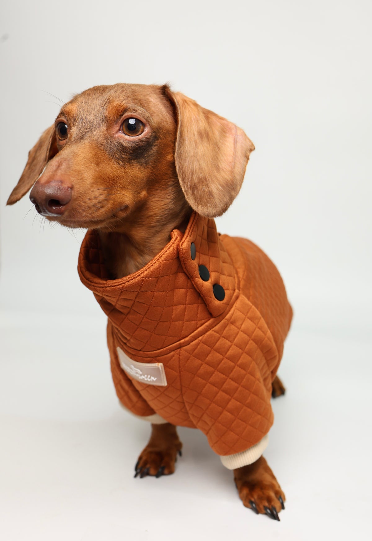 Dachshund Sweater - Rust Quilted Turtleneck Sweater