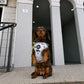 Dachshund Adjustable Harness - WHIMSICAL WEENS