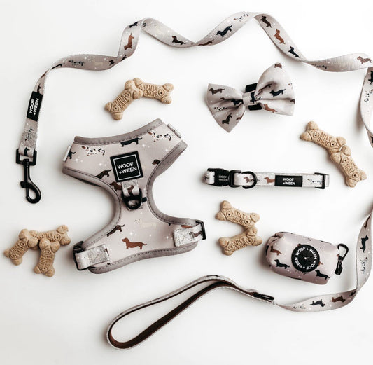 Leash - WHIMSICAL WEENS