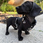 Adjustable Dog Harness - BLACK CHECKERED