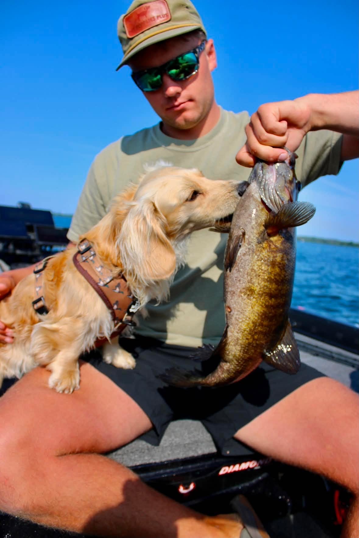 Adjustable Dog Harness - DUCK HUNTING DOG