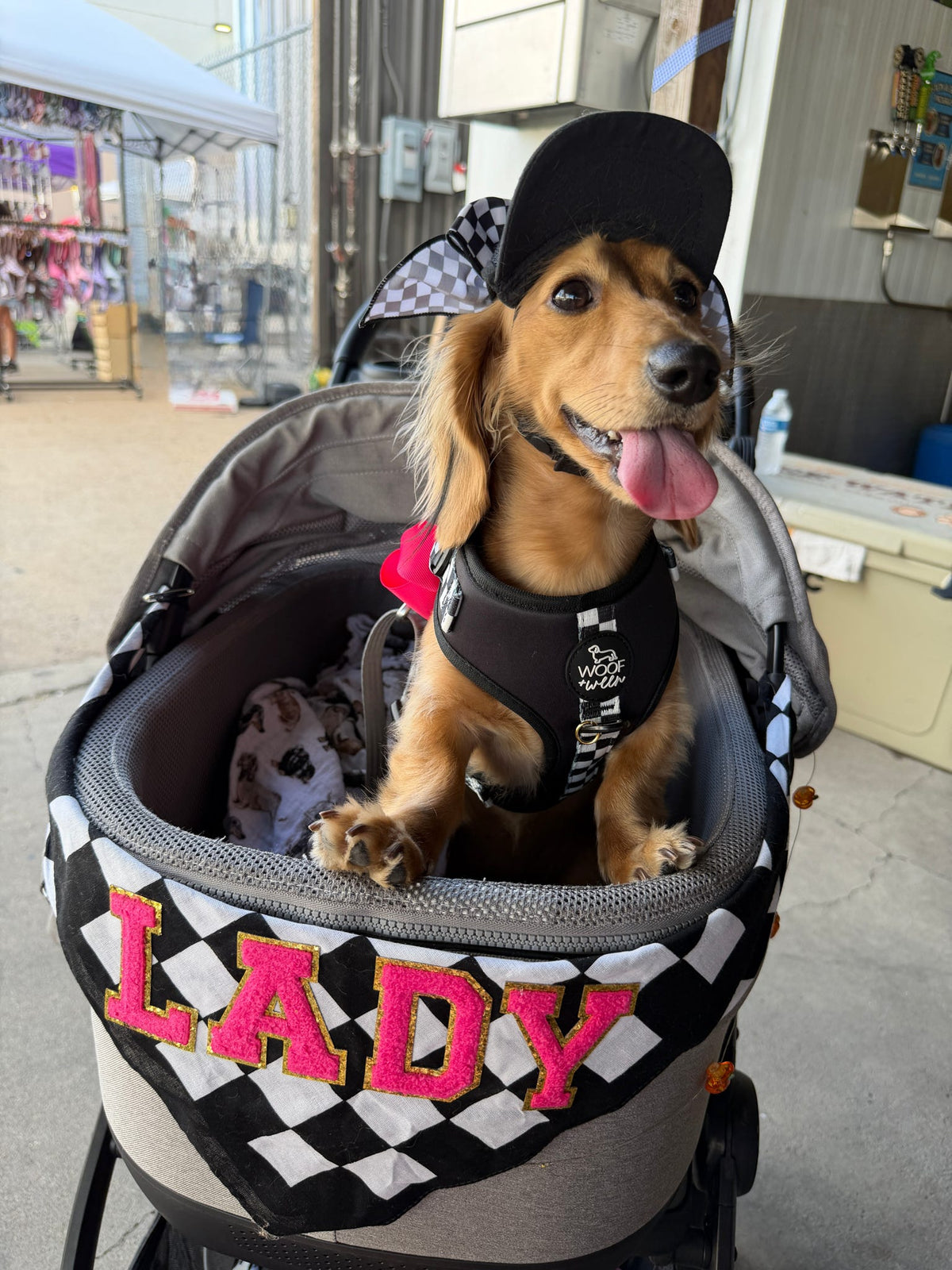 Adjustable Dog Harness - BLACK CHECKERED