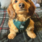 Adjustable Dog Harness - EVERGREEN POLKA DOT