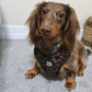 Adjustable Dog Harness - BLACK DUCK CAMO