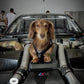 Adjustable Dog Harness - BLACK CHECKERED