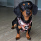 Adjustable Dachshund Harness - DOXIE PLAID