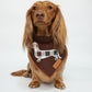 Dachshund Bandana - Doxie Plaid