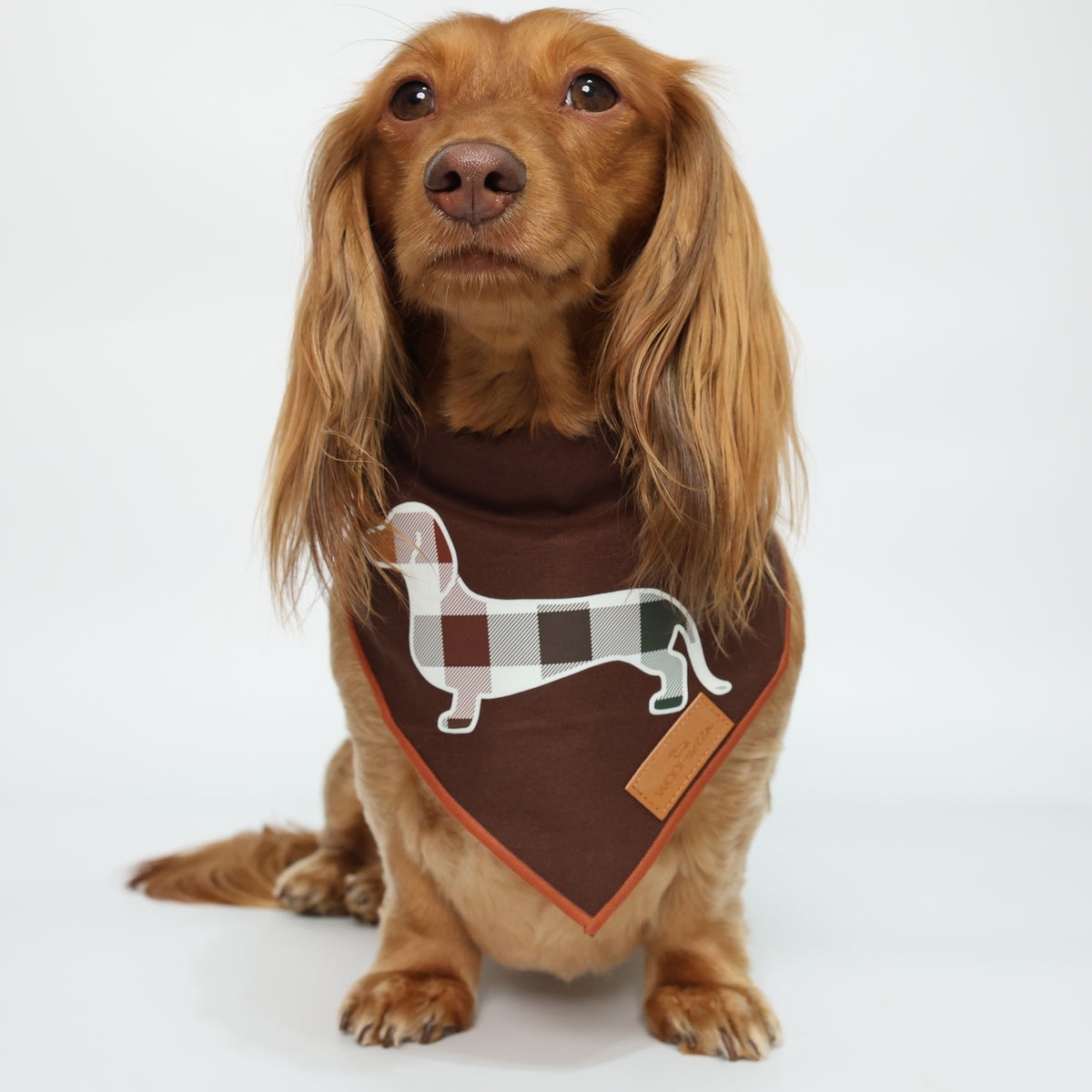Dachshund Bandana - Doxie Plaid