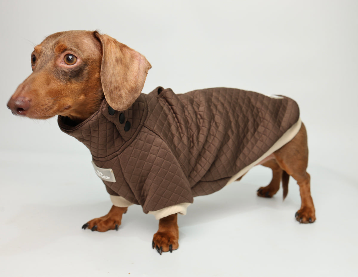 Dachshund Sweater - Chocolate Brown Quilted Turtleneck Sweater
