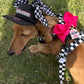 Adjustable Dog Harness - BLACK CHECKERED