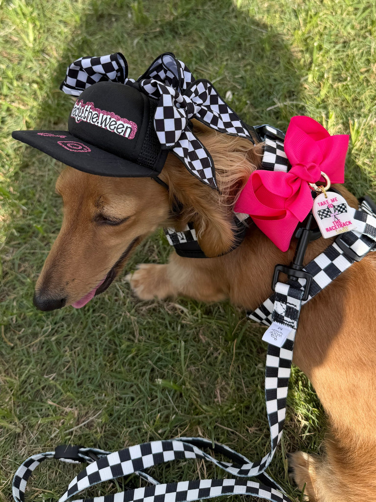 Adjustable Dog Harness - BLACK CHECKERED