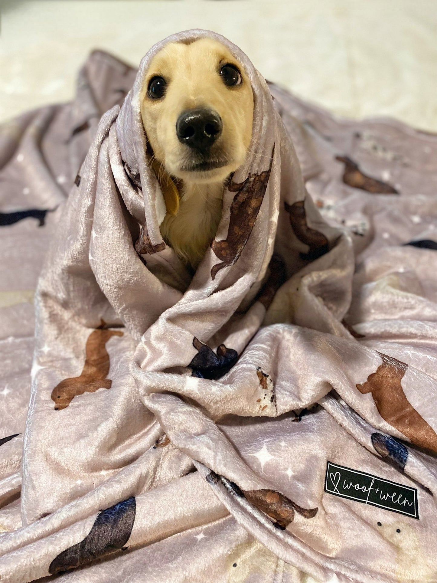 Dachshund Blanket - WHIMSICAL WEENS