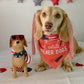 Dachshund Bandana - Red White and Wiener Dogs USA