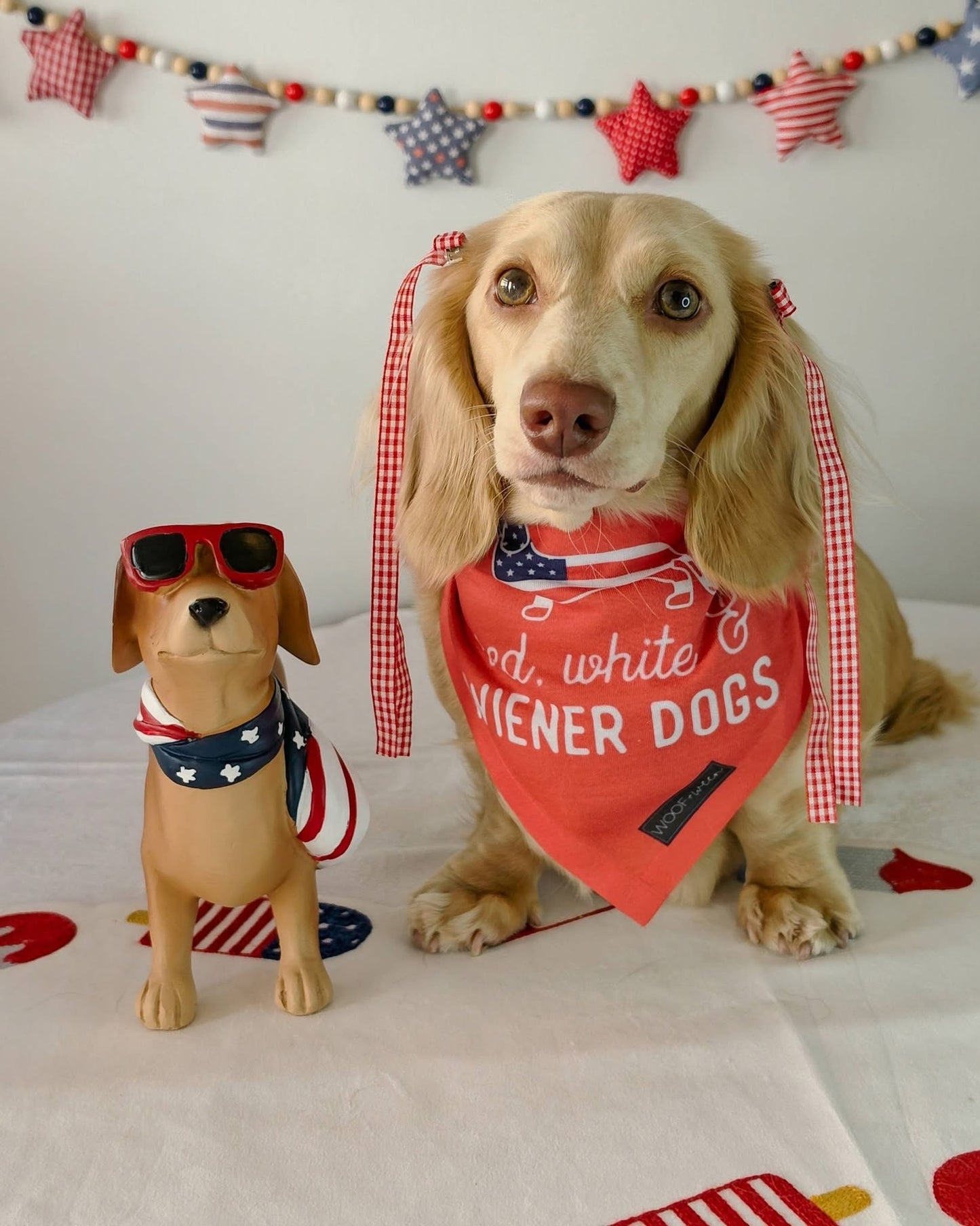 Dachshund Bandana - Red White and Wiener Dogs USA