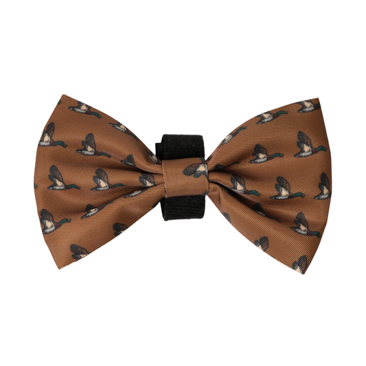Bow - Duck Hunting Dog
