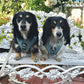 Adjustable Dachshund Harness - Teal Doxies