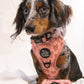 Adjustable Dog Harness - PINK COQUETTE