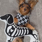 Dachshund Pillow - HALLOWEENIE