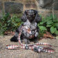 3-piece Walk Bundle - DOXIE PLAID