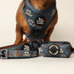 Dachshund Dog harness, leash, and collar set with dachshund pattern 