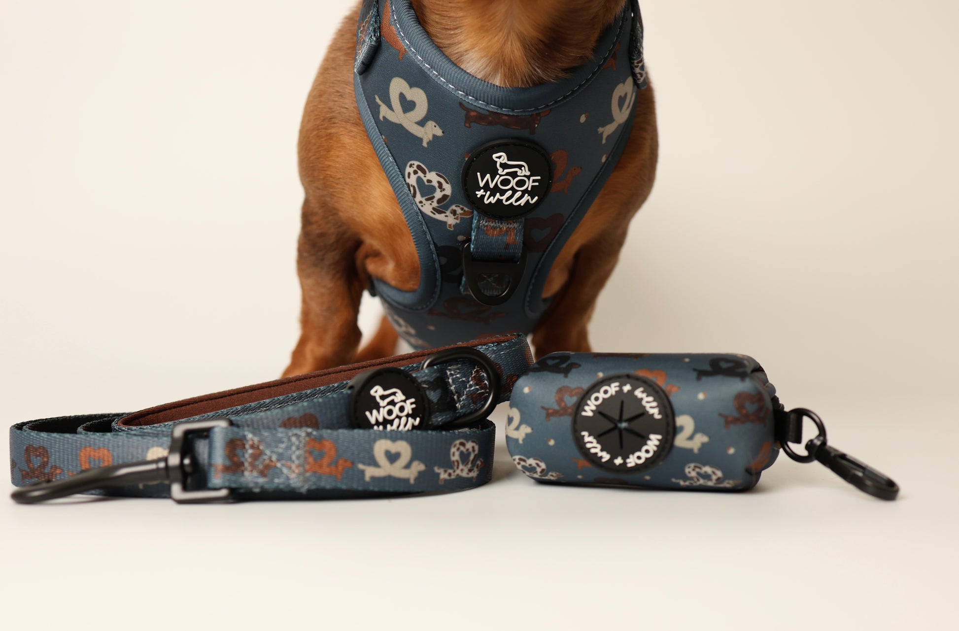 Dachshund Dog harness, leash, and collar set with dachshund pattern 