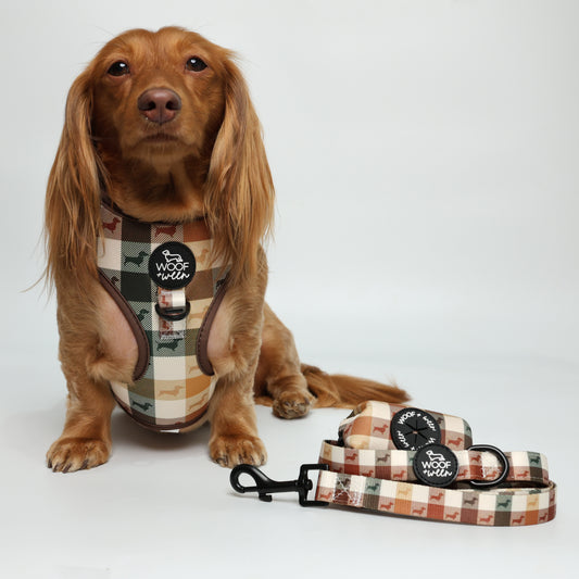 3-piece Walk Bundle - DOXIE PLAID