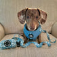 Adjustable Dachshund Harness - Teal Doxies