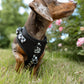 Adjustable Dog Harness - BLACK CHECKERED