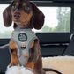 Adjustable Dog Harness - SAGE SUNSET