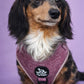 Adjustable Dog Harness - MAMAS GIRL