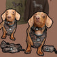 5-piece Bundle - BLACK DUCK CAMO
