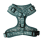Adjustable Dachshund Harness - Teal Doxies