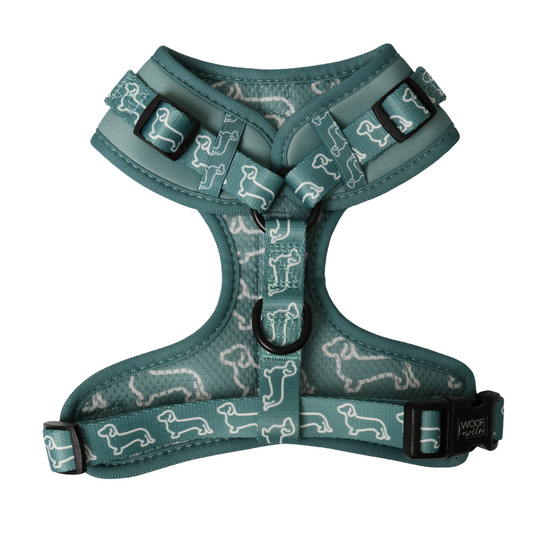 Adjustable Dachshund Harness - Teal Doxies