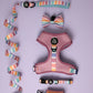 5-piece bundle - SORBET SUNSET