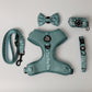 5-piece Bundle - TEAL DOXIES