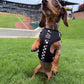 Adjustable Dog Harness - BLACK CHECKERED